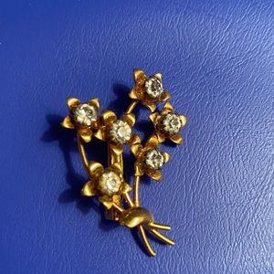Woman’s gold colored pin